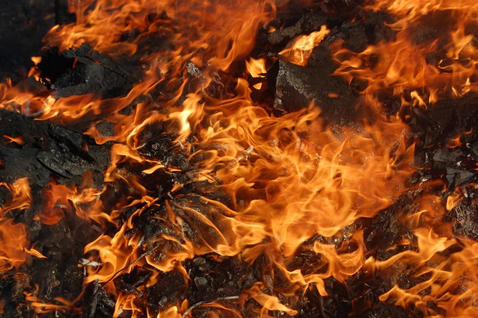 Free Image of Fire burns through charred remains in a forest area 