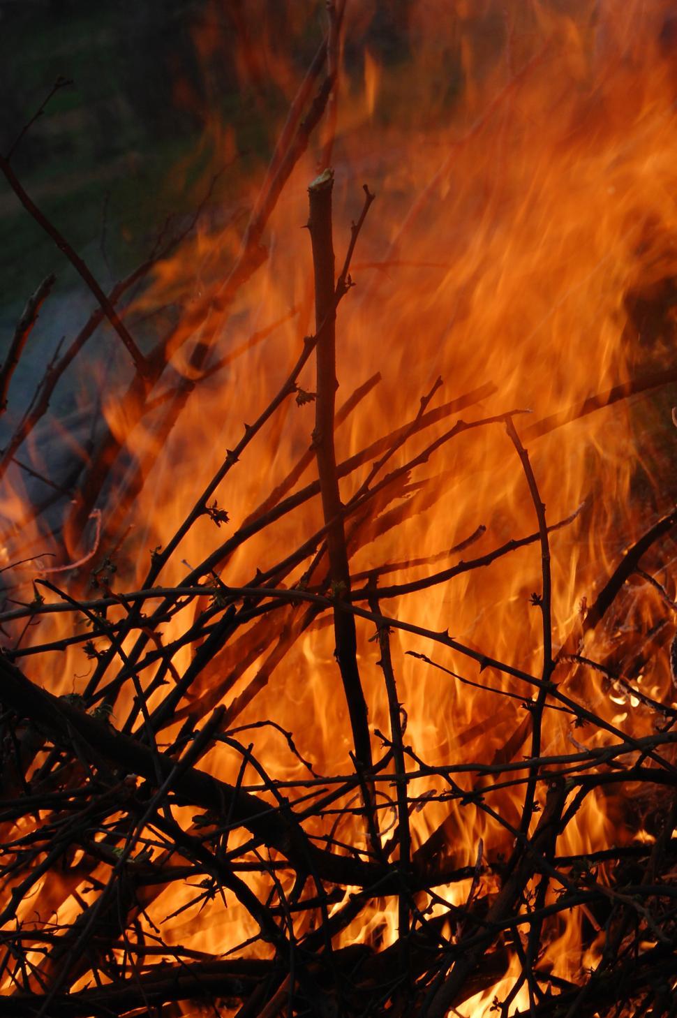 Free Image of Branches burning brightly in a nighttime blaze 