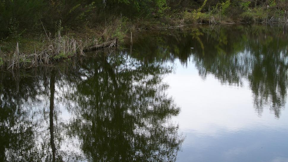 Free Image of At a German lake 