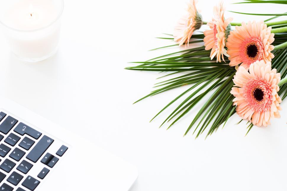 Free Image of Laptop, flowers, and light ambiance in workspace 