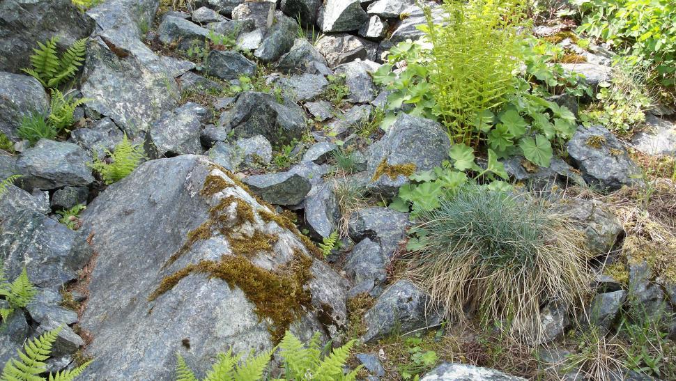 Free Image of Landscapes dominated by forest and rocks 