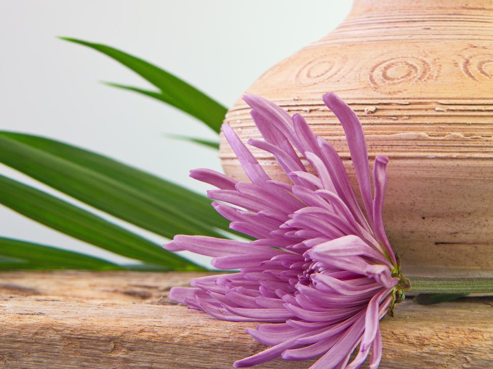 Free Image of Elegant purple flower beside a rustic clay vase on a wooden surface 