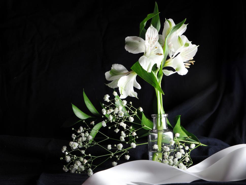 Free Image of Elegant white flowers in a glass vase on dark backdrop 