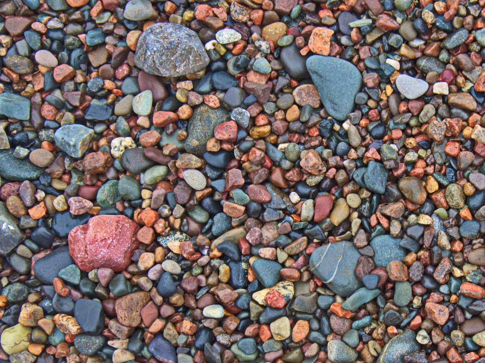 Free Image of Colorful pebbles on a riverbank create a natural mosaic during daylight 