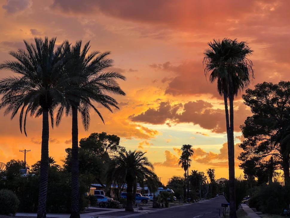Free Image of Vibrant sunset over a palm-lined street in a tranquil neighborhood 