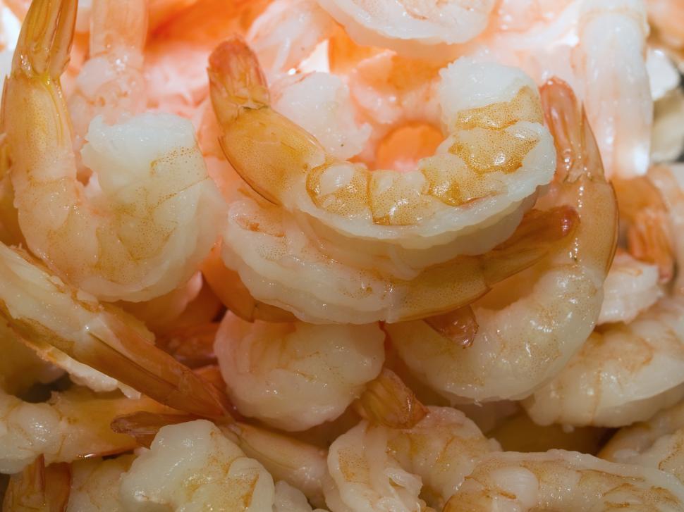 Free Image of Shrimp 