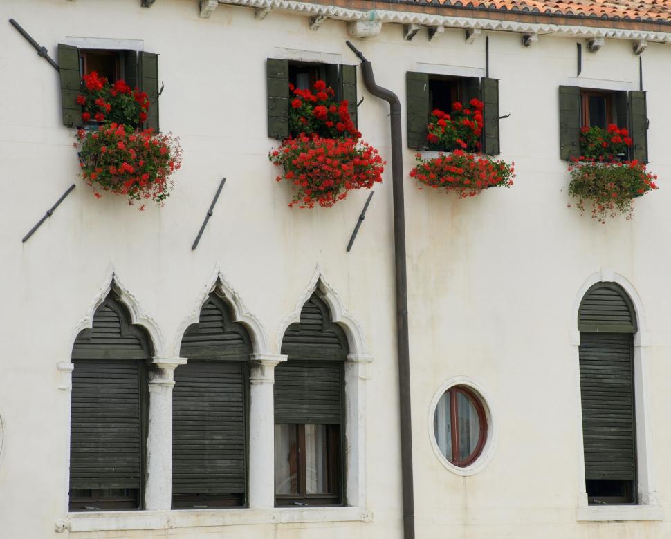 Free Image of Vibrant red flowers adorn white building in historic architecture 