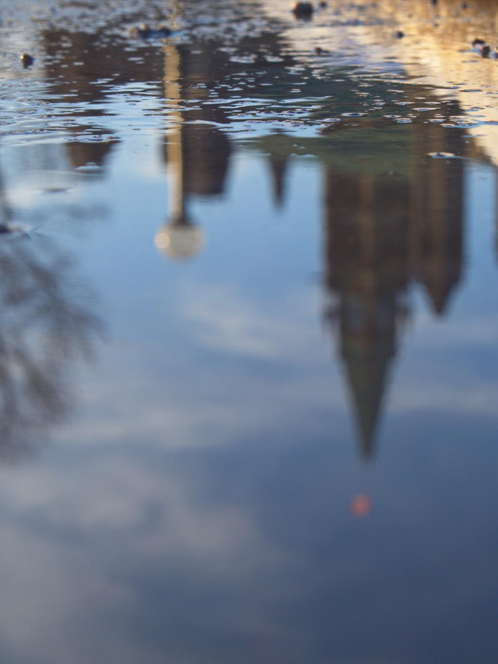 Free Image of Reflections in a puddle showing buildings and trees in a city park 