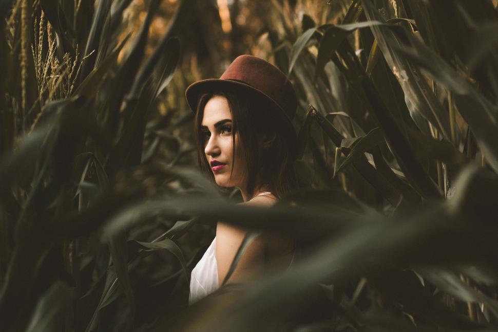 Free Image of Woman in a hat amidst tall corn plants at dusk 