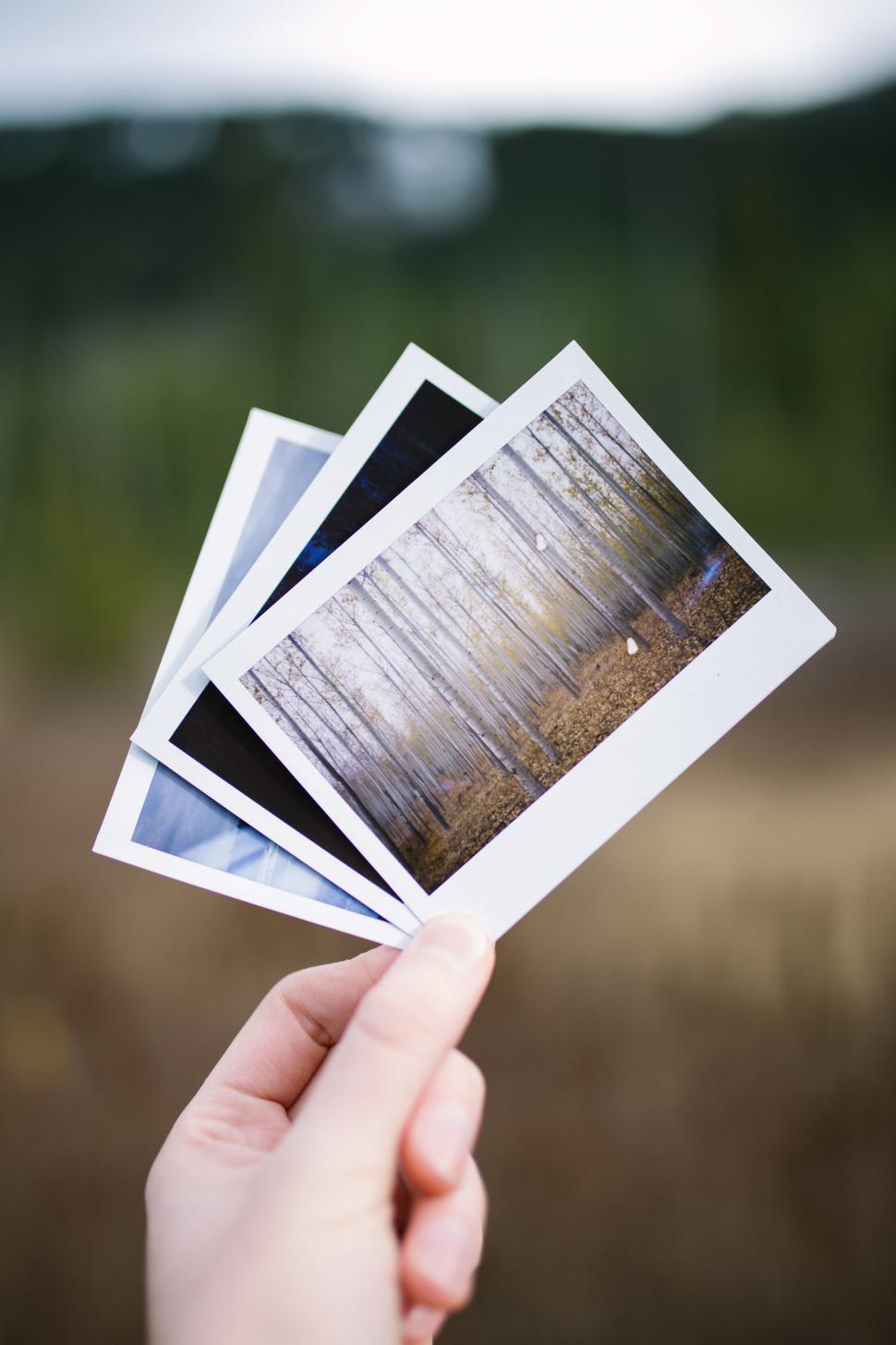 Free Image of Holding printed photos of a serene forest landscape in the hand 