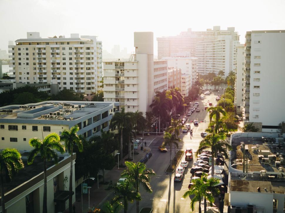Free Image of Sunset over South Beach with palm trees lining the bustling street 