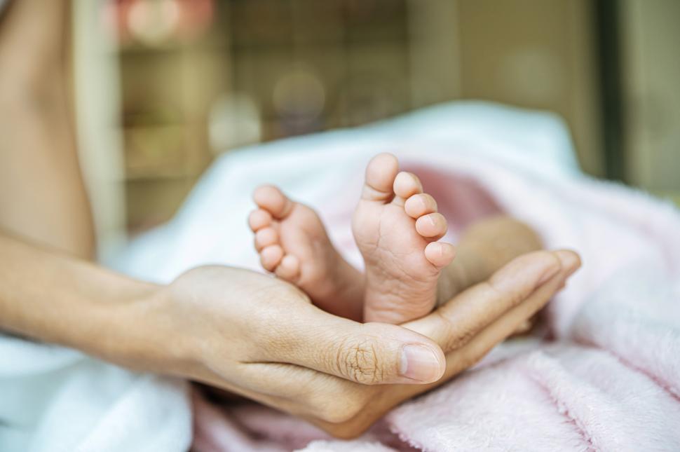 Free Image of Newborn baby feet on the mother s hand on a white blanket. 