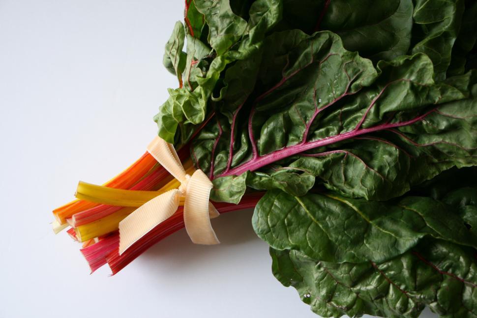 Free Image of Fresh rainbow chard with vibrant leaves and stems 