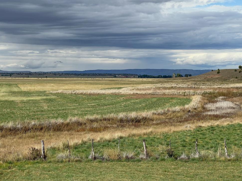 Free Image of Vast green and dry fields under a cloudy sky in a rural area 
