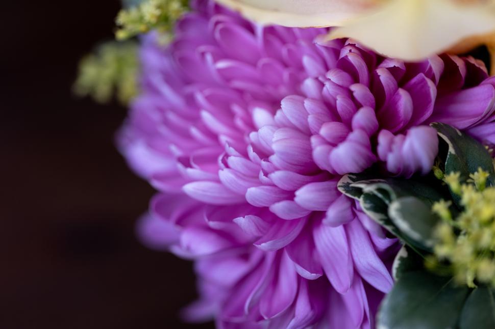 Free Image of Purple flower bouquet with delicate petals and greenery 
