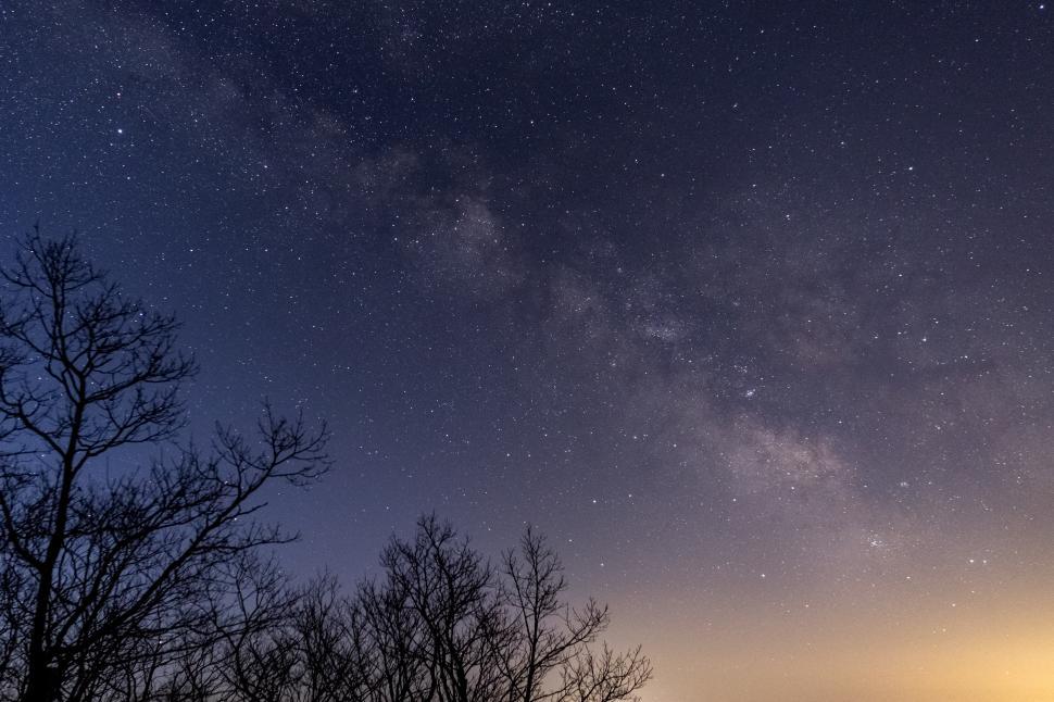 Free Image of Night sky filled with stars over a dark forest 