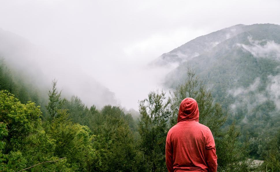 Free Image of Man in red hoodie gazes at misty mountains and trees 