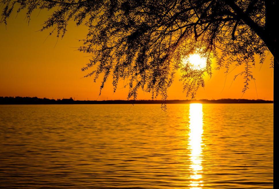 Free Image of Sunset over calm water with tree silhouettes in golden light 