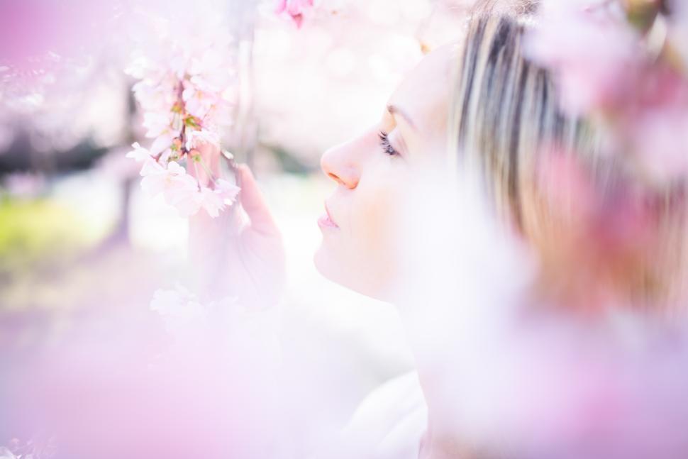 Free Image of Woman enjoying cherry blossoms in spring sunlight 