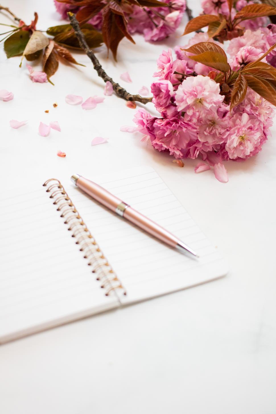 Free Image of Cherry blossoms and stationery create a serene workspace 