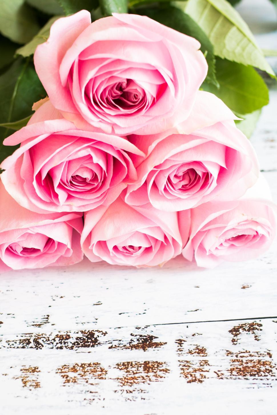Free Image of Pink roses arranged on rustic wooden surface 