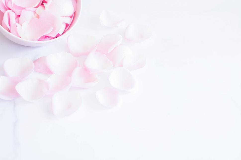 Free Image of Soft pink rose petals arranged in a decorative bowl 