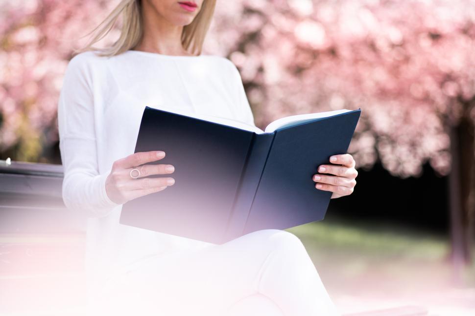 Free Image of Reading a book under blooming cherry blossoms in spring 