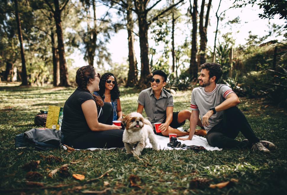 Free Image of Friends enjoying a picnic together in a sunny park 