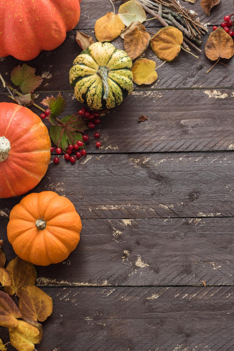 Free Image of Colorful pumpkins and autumn leaves on wooden table 