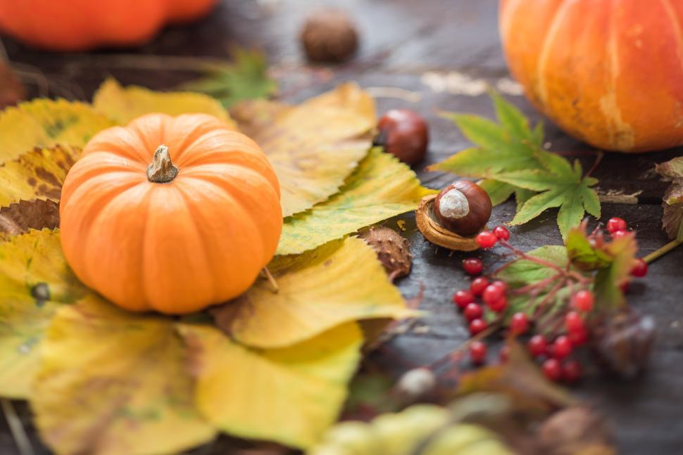 Free Image of Autumn harvest display with pumpkins and colorful leaves 