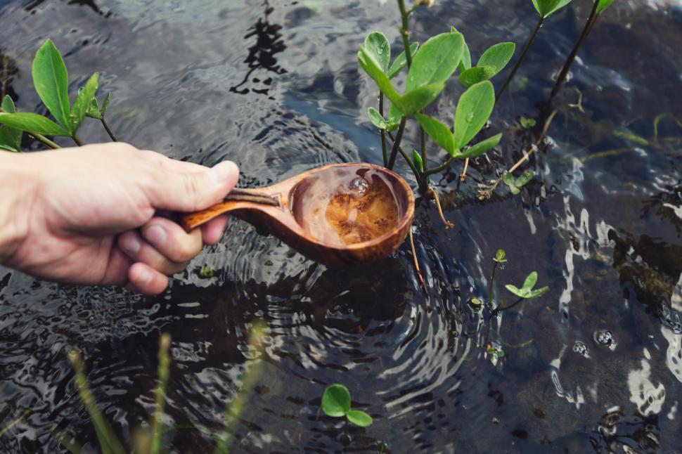 Free Image of Hand using wooden spoon to collect water from a pond 