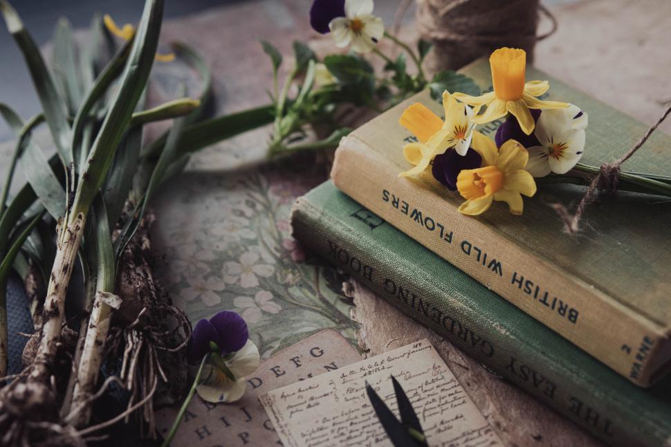 Free Image of Bright wildflowers and gardening books create a serene workspace 
