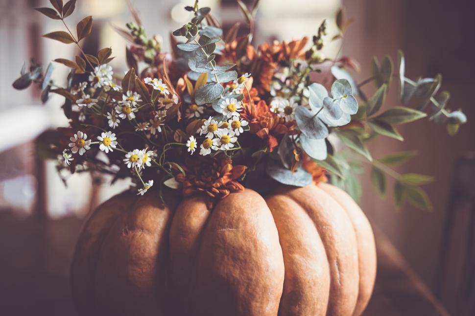 Free Image of Unique fall centerpiece made from a pumpkin and fresh flowers 