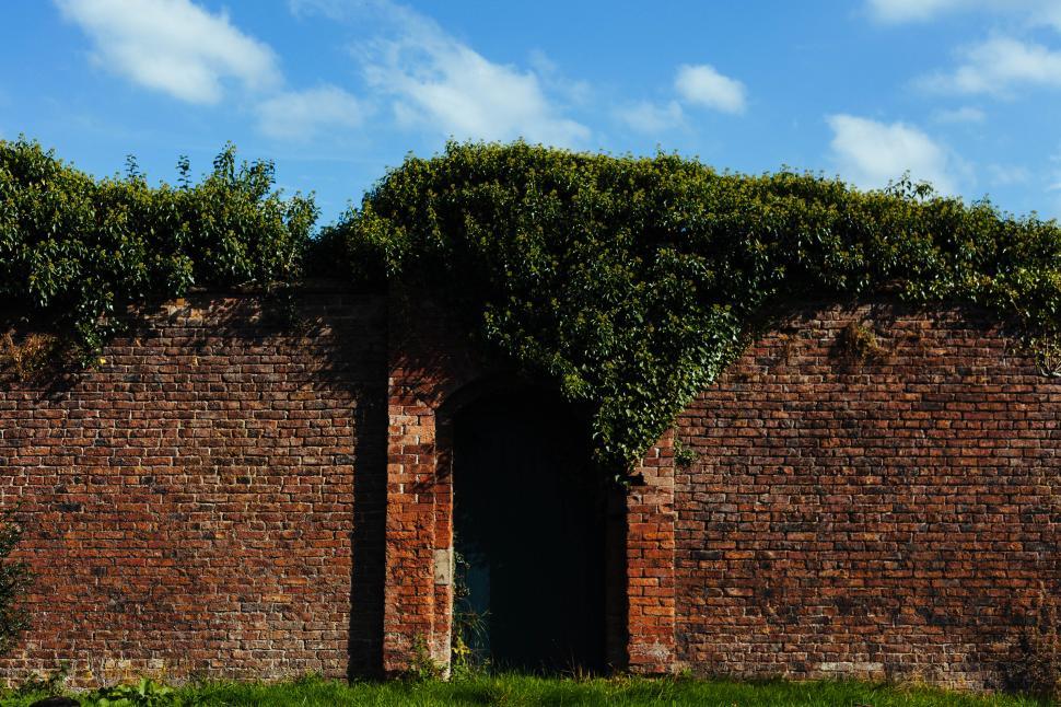 Free Image of Old brick wall with lush greenery under a blue sky 