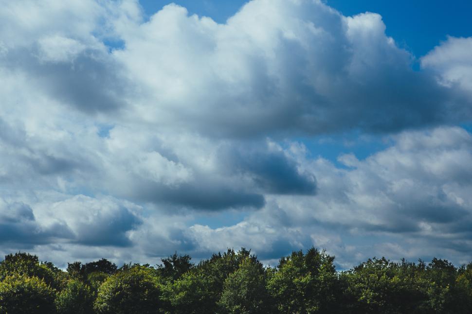 Free Image of Cloudy sky over lush green trees near a tranquil area 