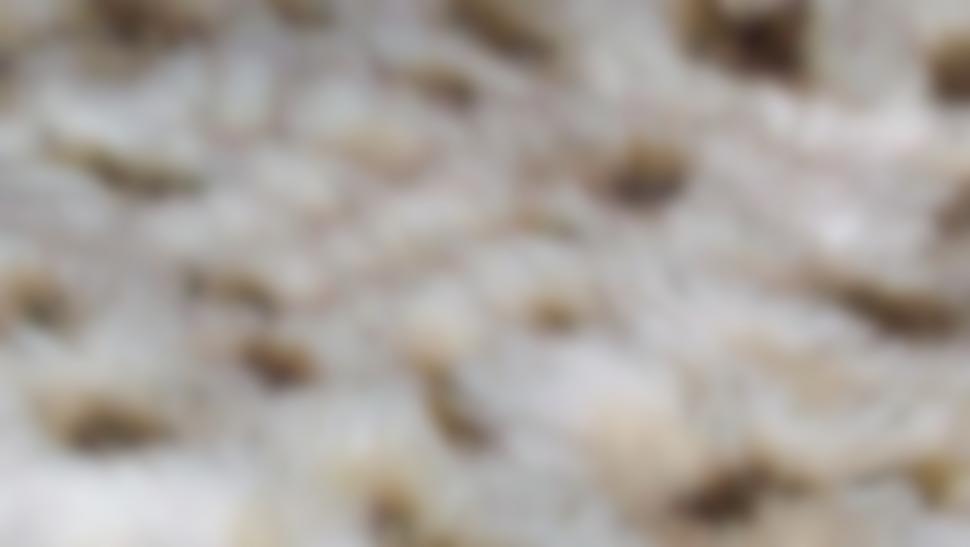 Free Image of Structure of brown spots on beige background 