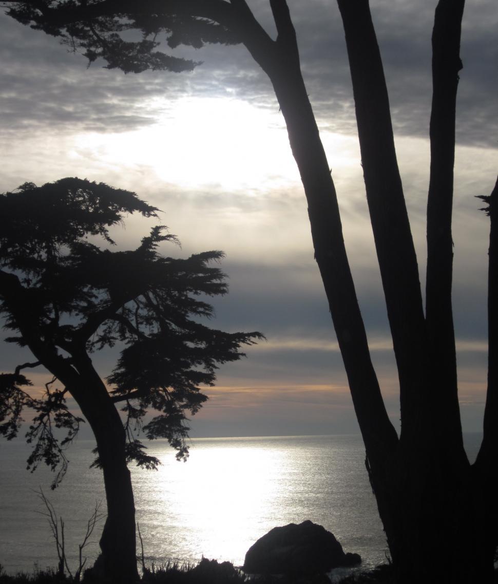 Free Image of Lands End Sunset San Francisco 
