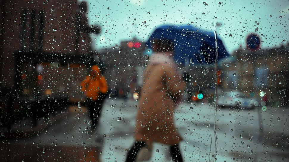 Free Image of People walk under umbrellas on a rainy day 