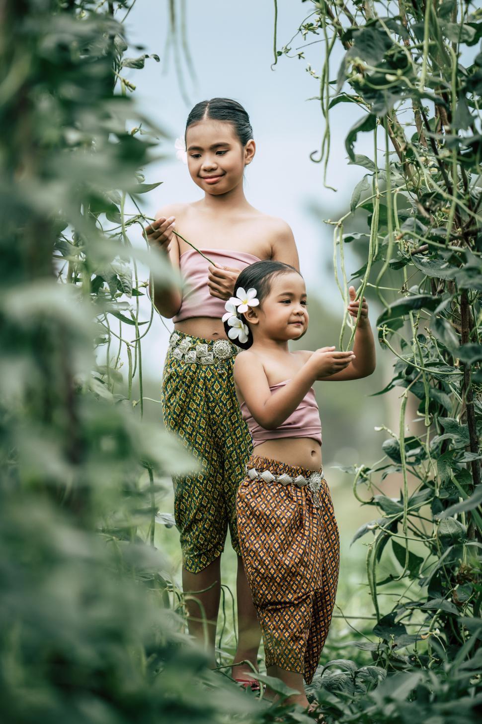 Free Image of Portrait of lovely girls in Thai traditional dress and put white flower on her ear, standing in plant yard of long beans, They are smile with happiness 