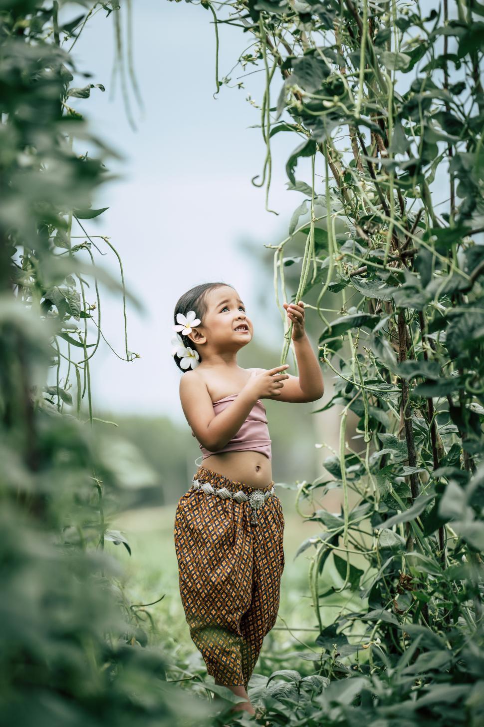 Free Image of Cute girl in Thai traditional dress standing in beans garden 