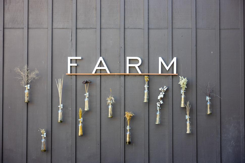 Free Image of Decorative natural elements displayed on a wall in a farm setting 