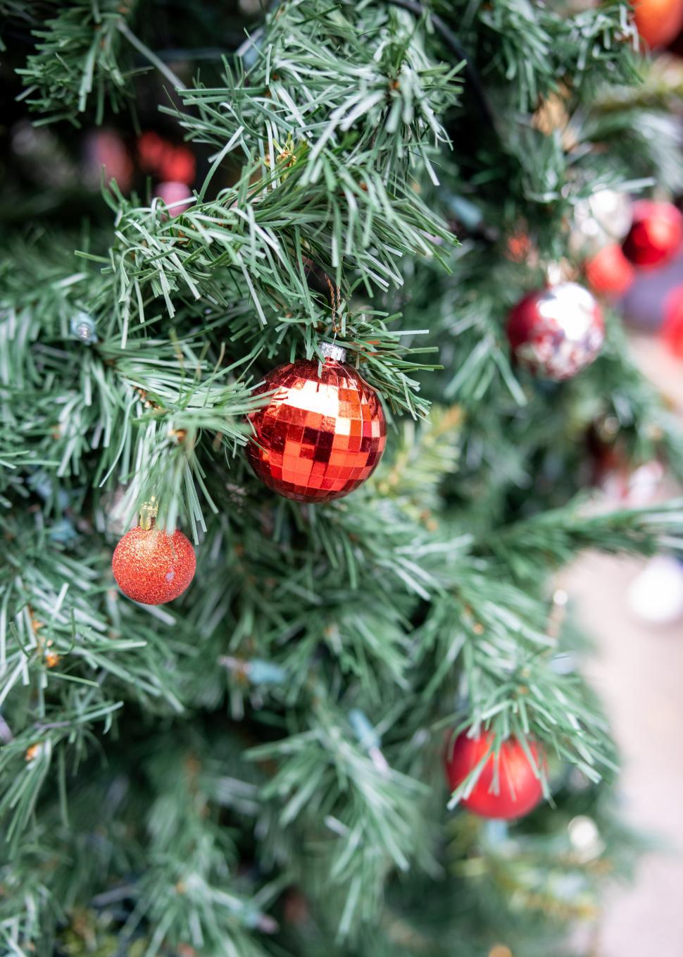 Free Image of Decorative red ornaments on a festive green Christmas tree 