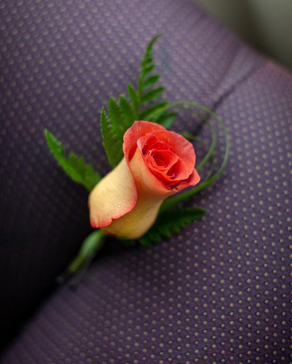 Free Image of Beautiful rose boutonniere resting on a textured fabric surface 
