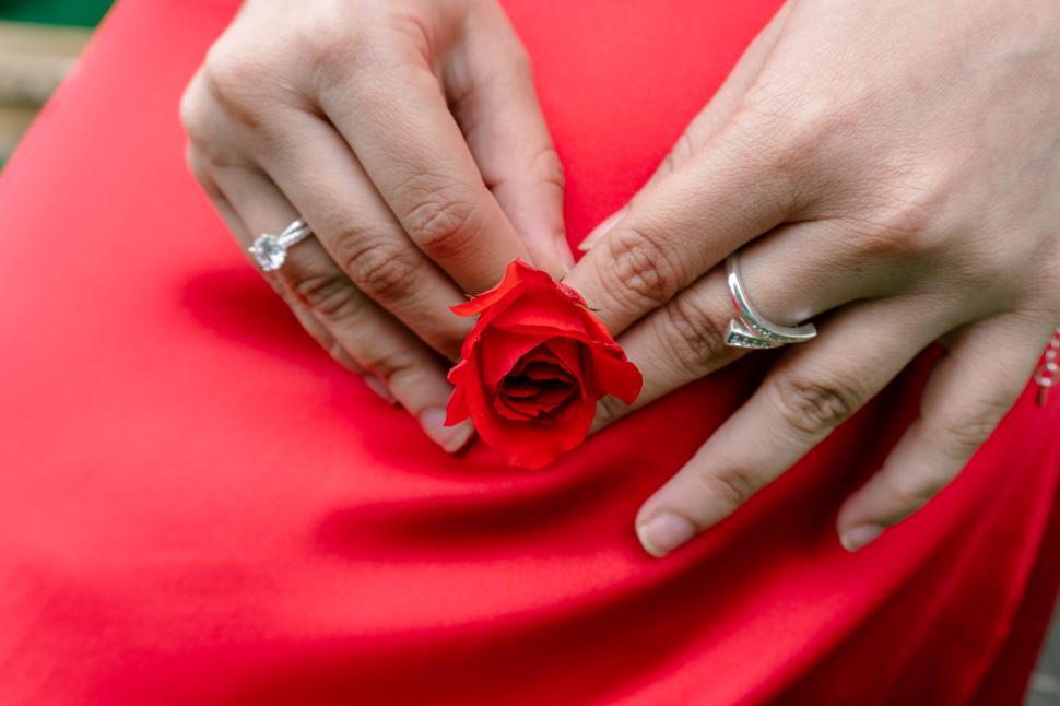 Free Image of Female hands holding a red rose over a red dress  