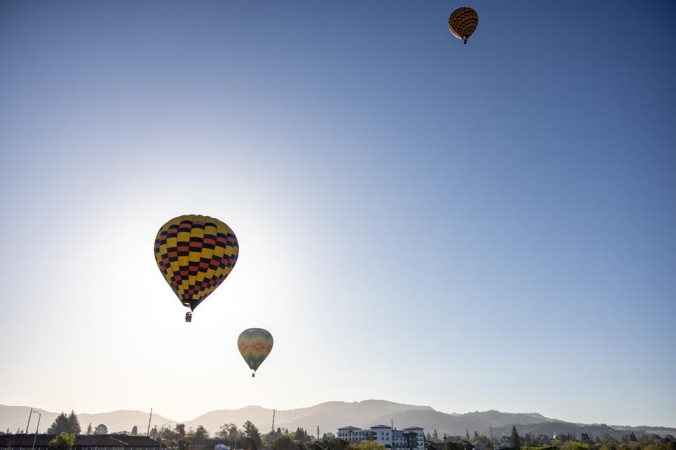 Free Image of Colorful hot air balloons ascend in the clear morning sky 