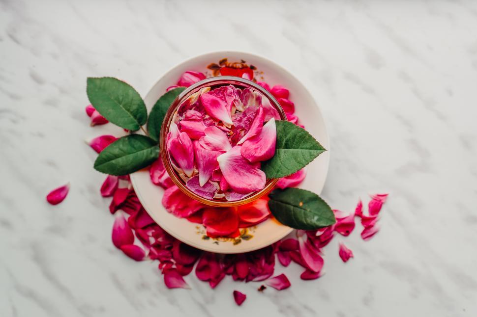 Free Image of Top-down view of pink rose petals in a glass on a saucer  