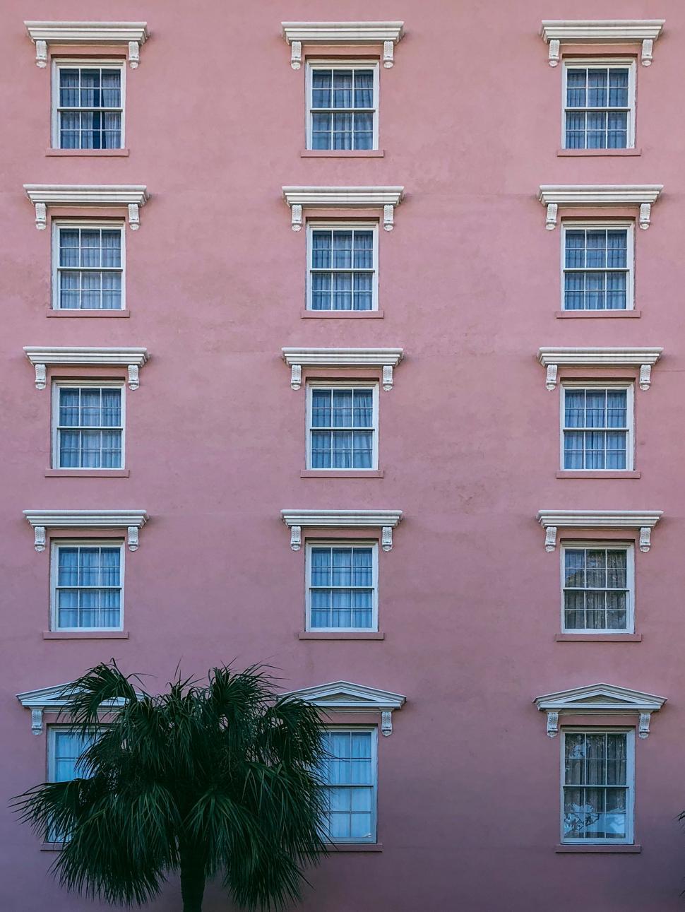 Free Image of Colorful building facade with palm tree in sunny location 
