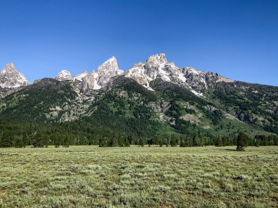 Free Image of Majestic snowy mountains rise above lush green valley in summer 