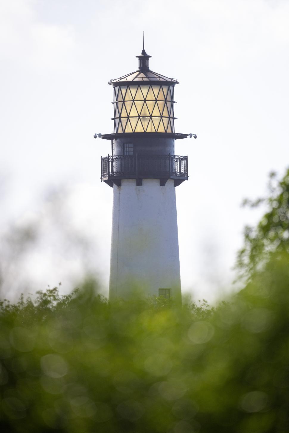 Free Image of Lighthouse standing tall above surrounding greenery at dawn 