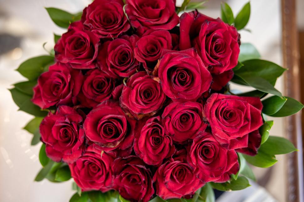 Free Image of Beautiful red roses arranged in a bouquet for a special occasion 